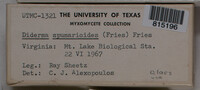 Image Associated With the Occurence